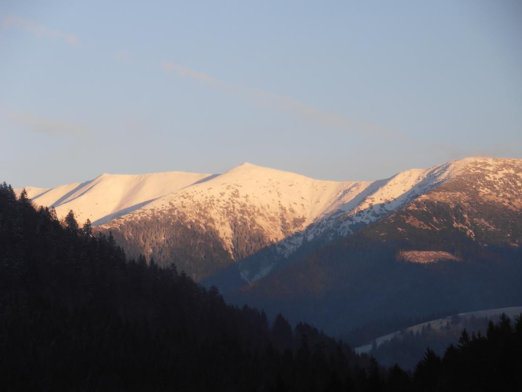 Kamzik Donovaly Apartmany A Studia Bagian luar foto